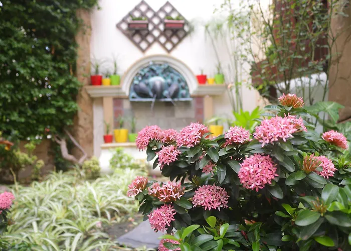 Best 11 Spa Hotels in Santa Cruz de La Sierra for a Relaxing Getaway