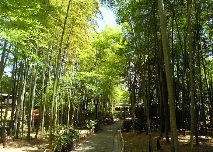 Best 19 Spa Hotels in Izu (Shizuoka) for a Relaxing Getaway